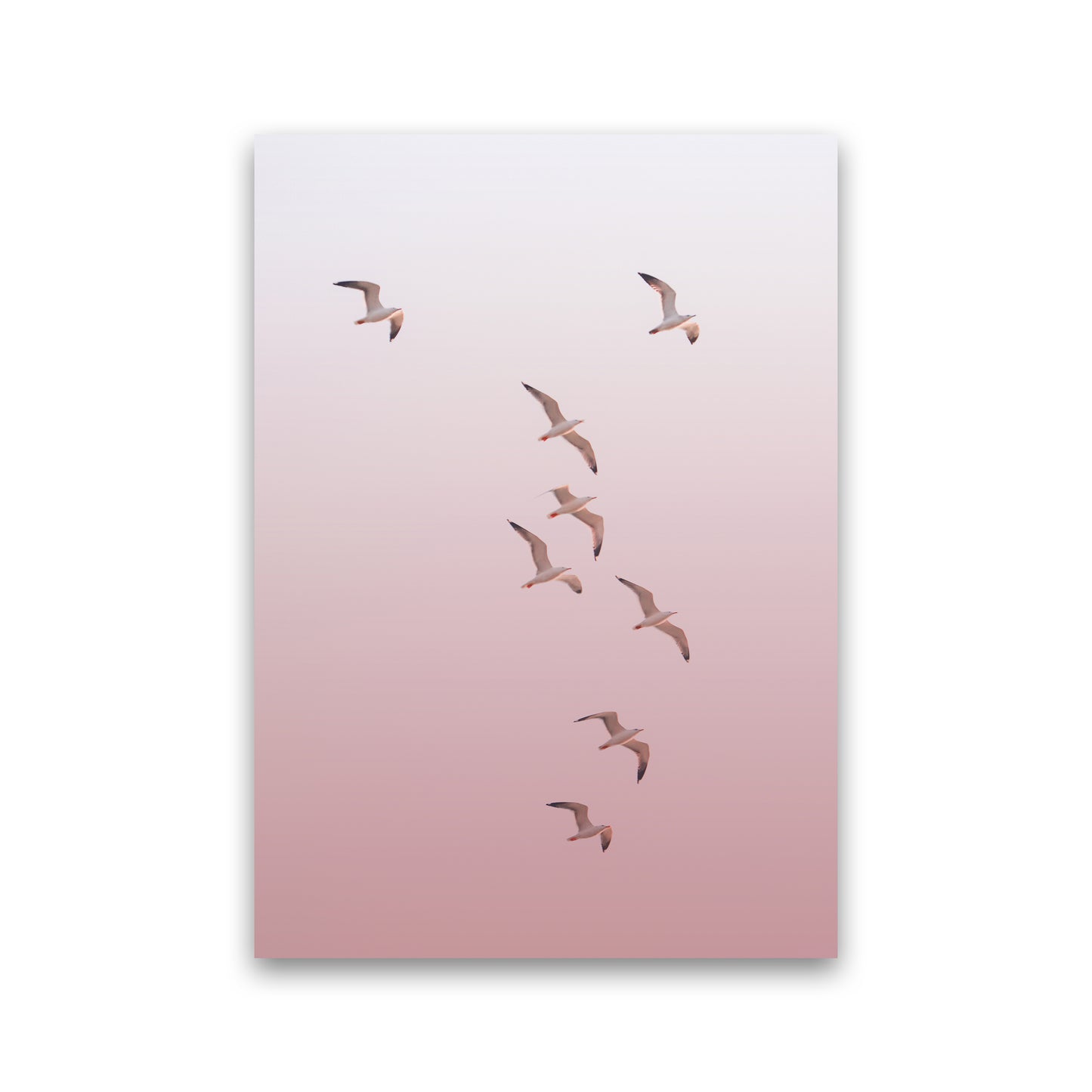 Birds in the Sky-pink Photography Print by Victoria Frost Print Only