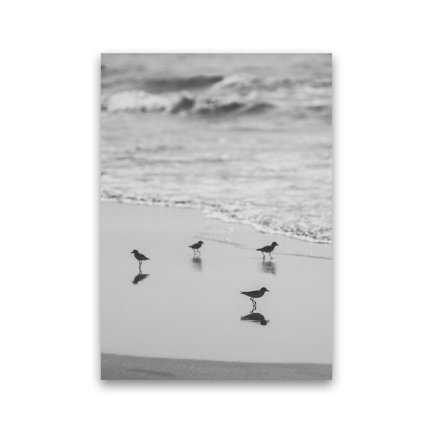 Beach Club Photography Print by Victoria Frost Print Only