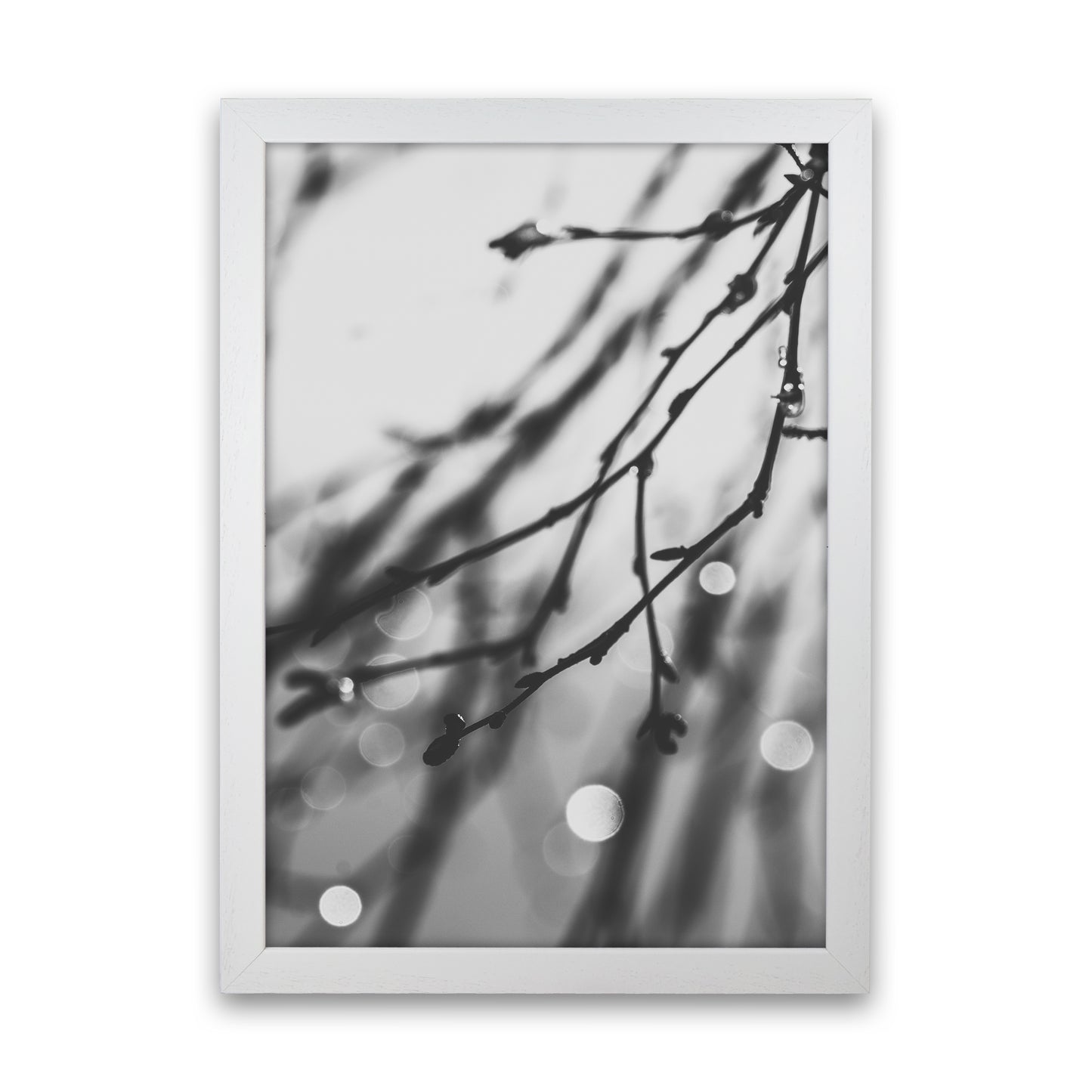 Twilight II Photography Print by Victoria Frost White Grain