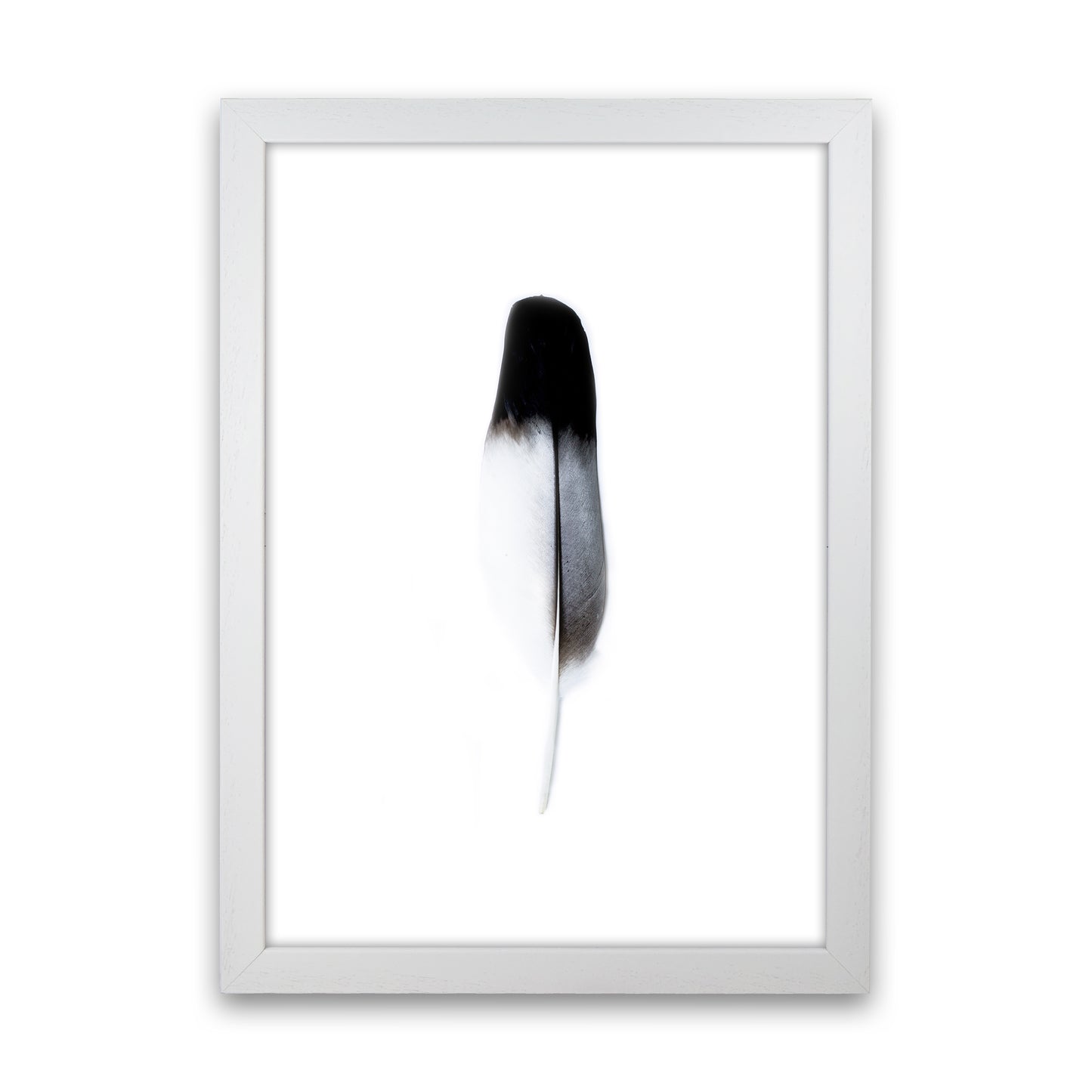 Spirit l Photography Print by Victoria Frost White Grain