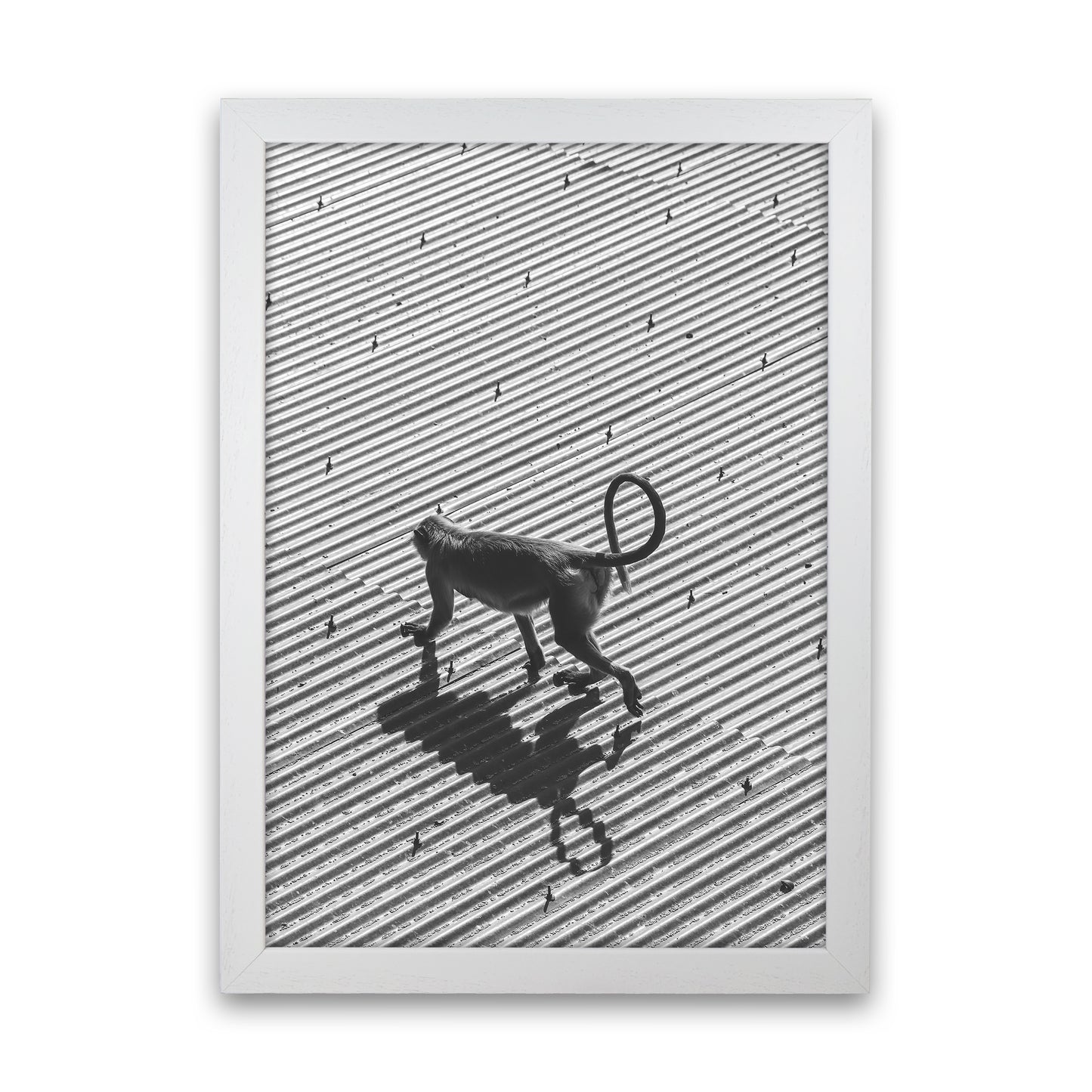 Monkey Buisness Photography Print by Victoria Frost White Grain