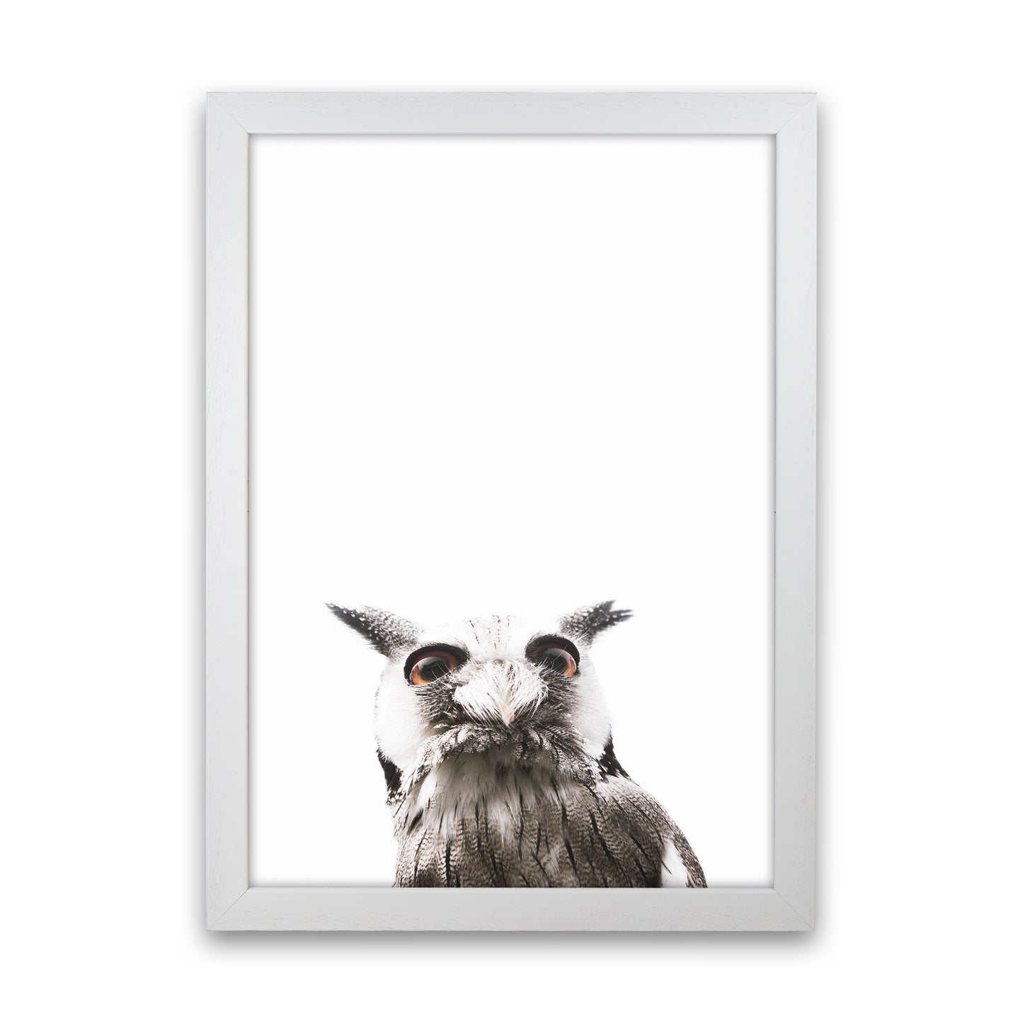 Lil Owl Photography Print by Victoria Frost White Grain