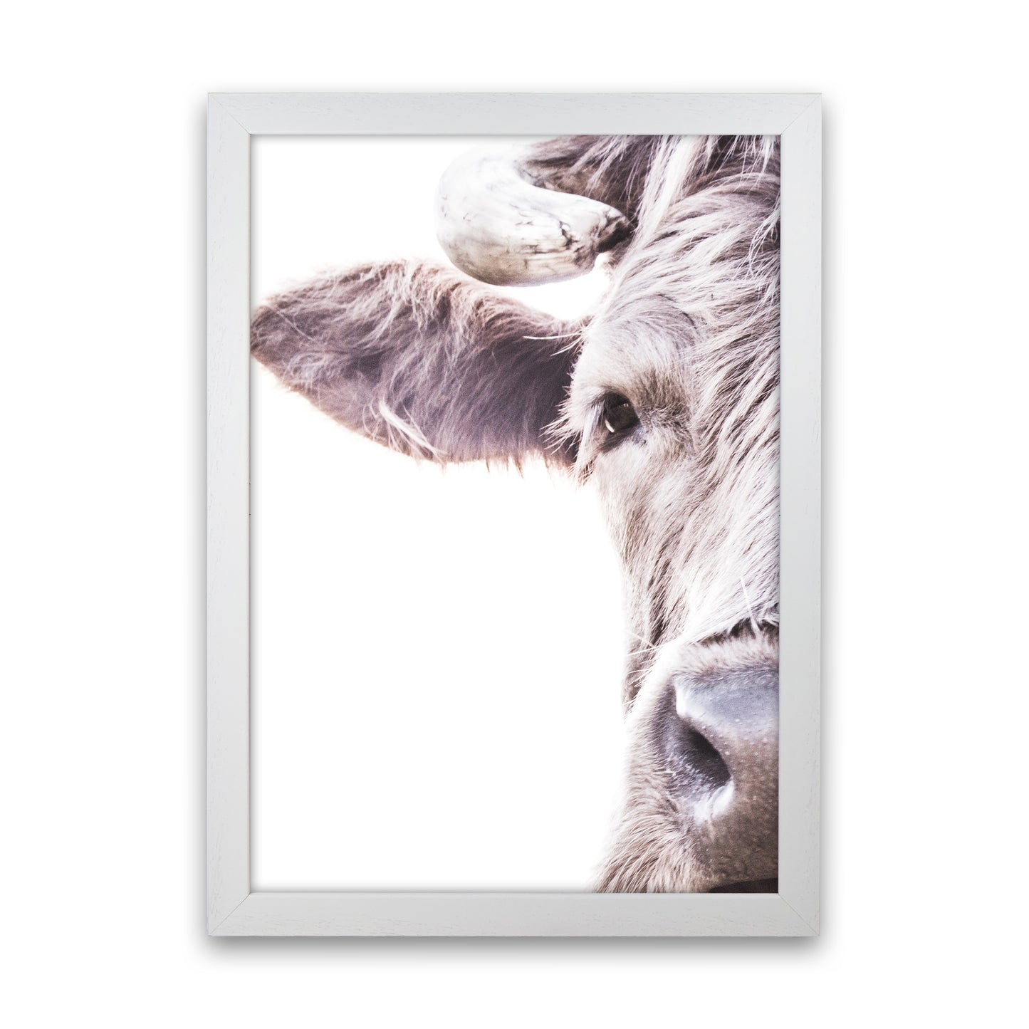 Highlander II Photography Print by Victoria Frost White Grain