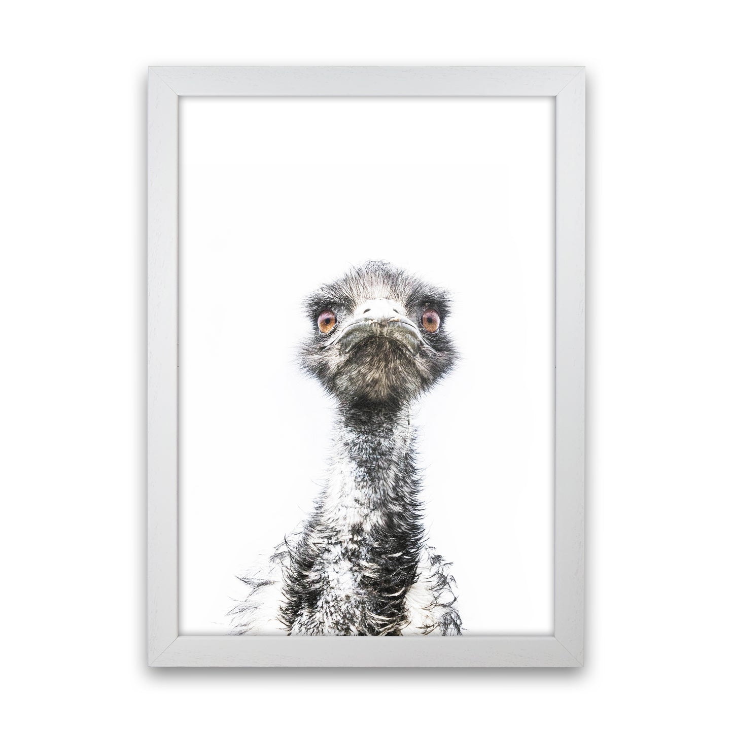 E.M.U Photography Print by Victoria Frost White Grain