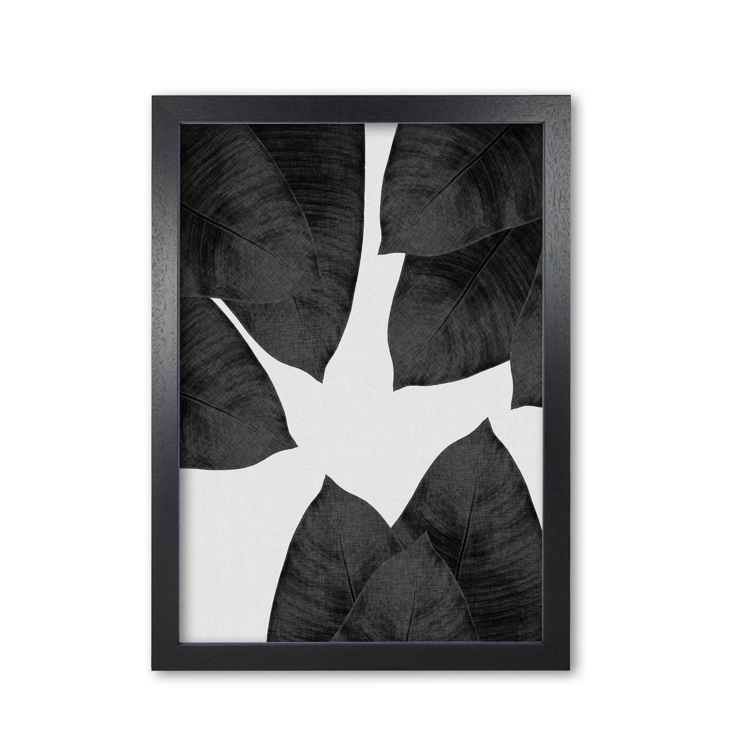 Banana leaf black & white i fine art print by orara studio