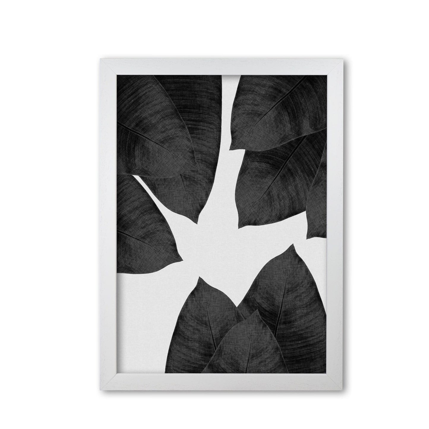 Banana leaf black & white i fine art print by orara studio
