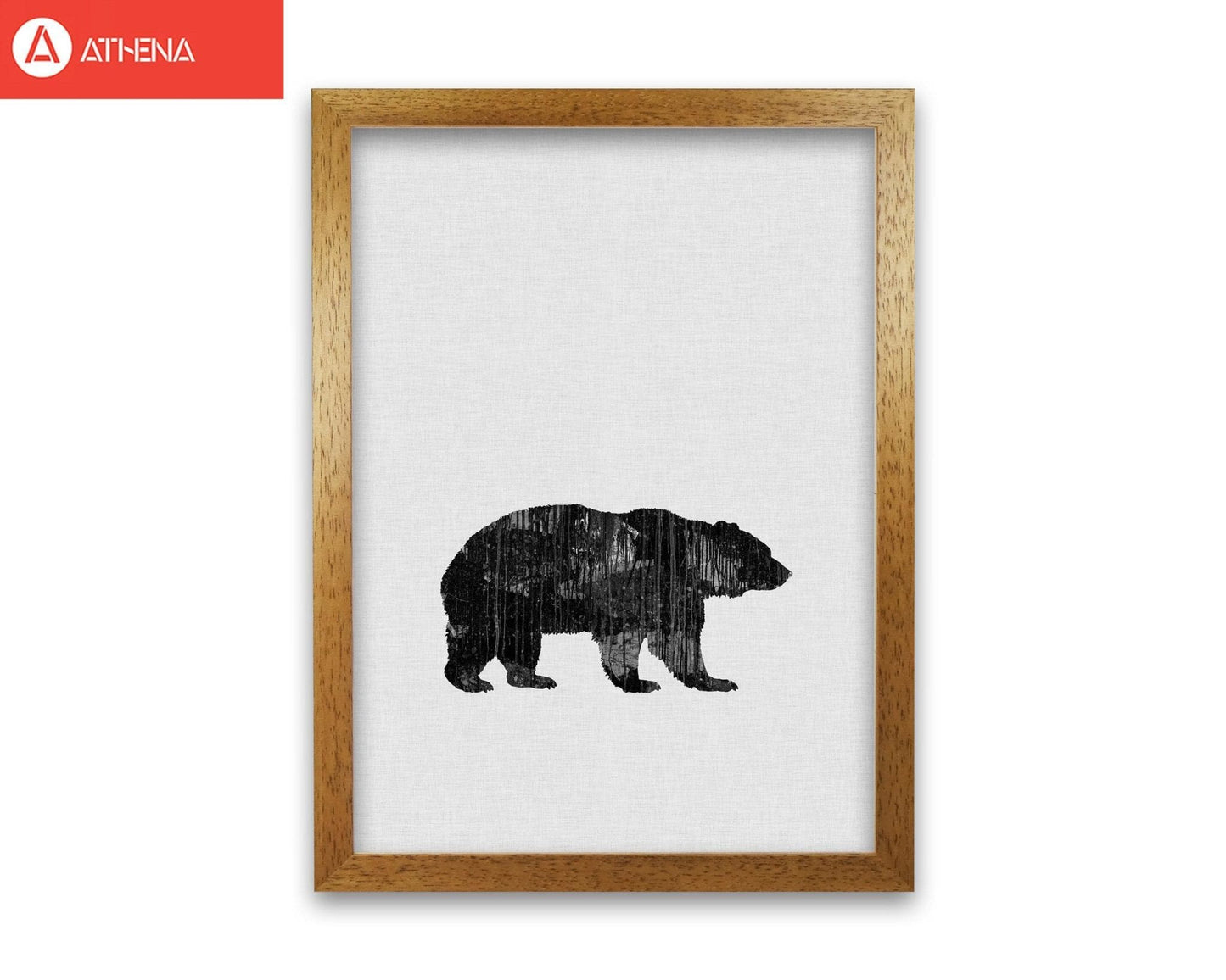 Bear animal art fine art print by orara studio