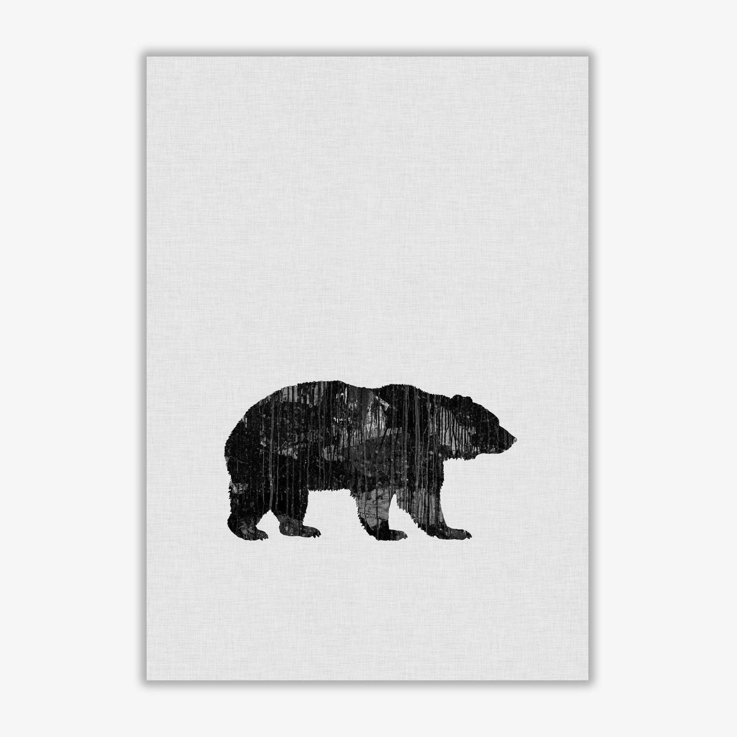 Bear animal art fine art print by orara studio