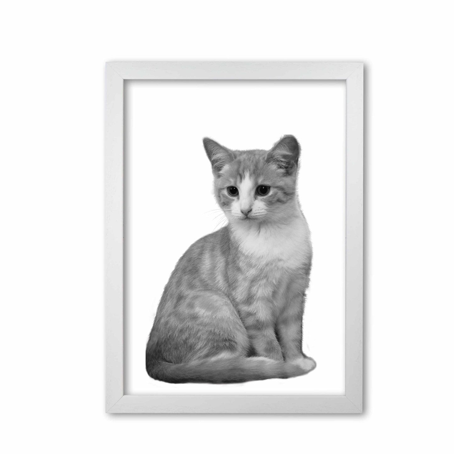 Black and white cat modern fine art print