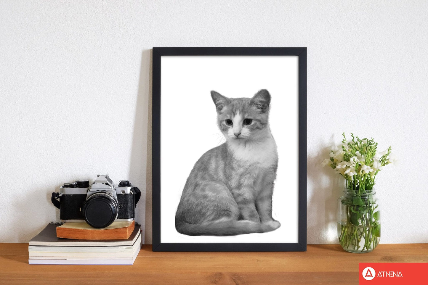 Black and white cat modern fine art print