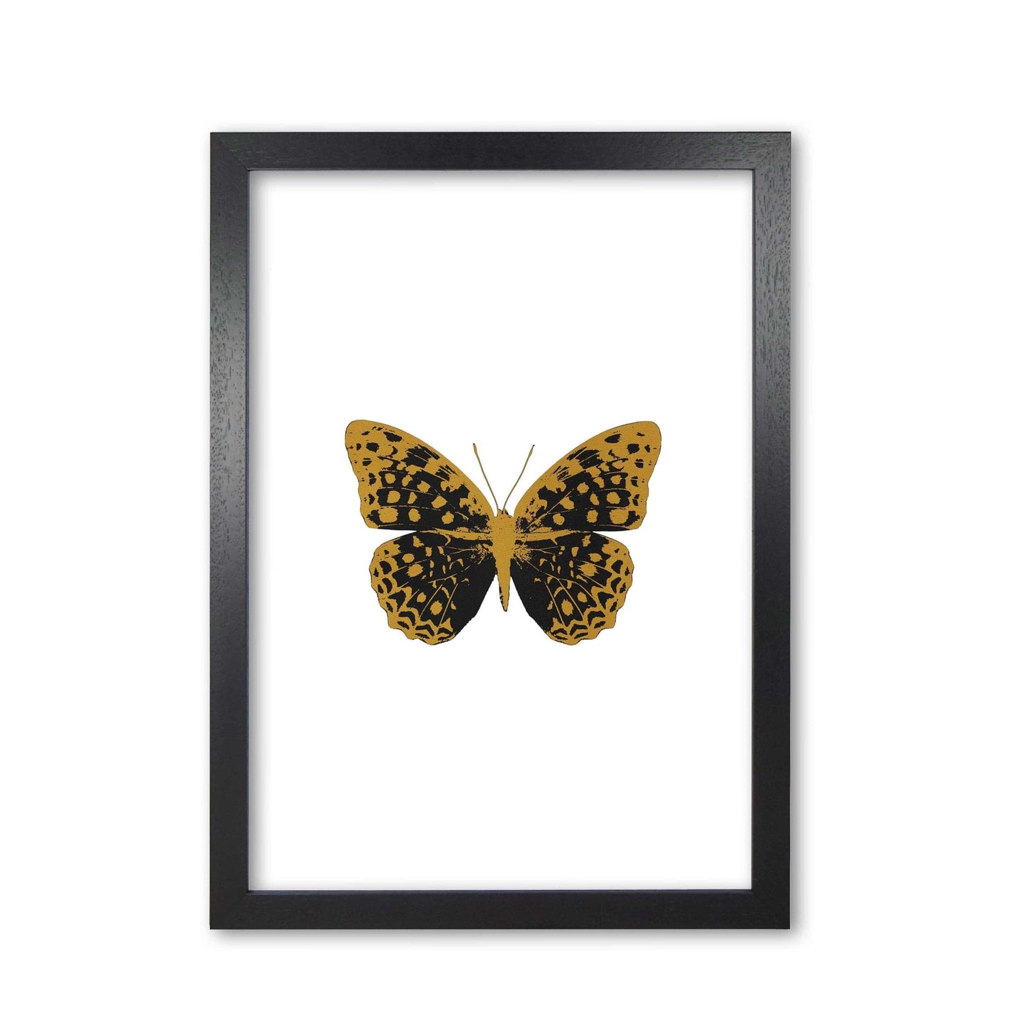 Black butterfly fine art print by orara studio