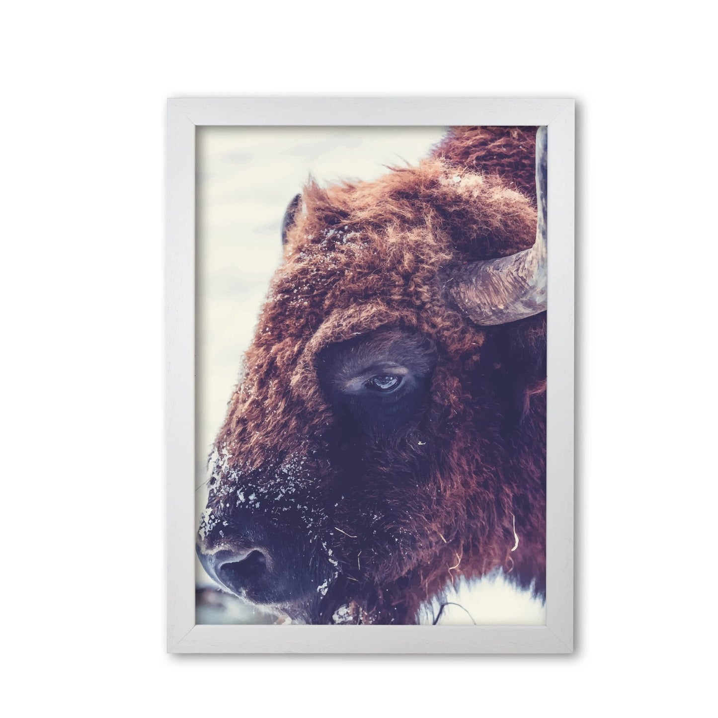 Bull modern fine art print