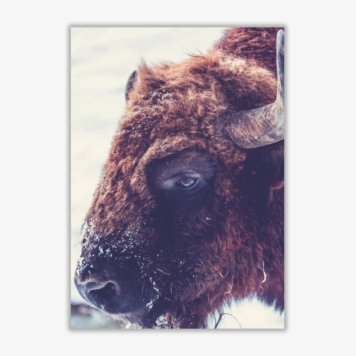 Bull modern fine art print