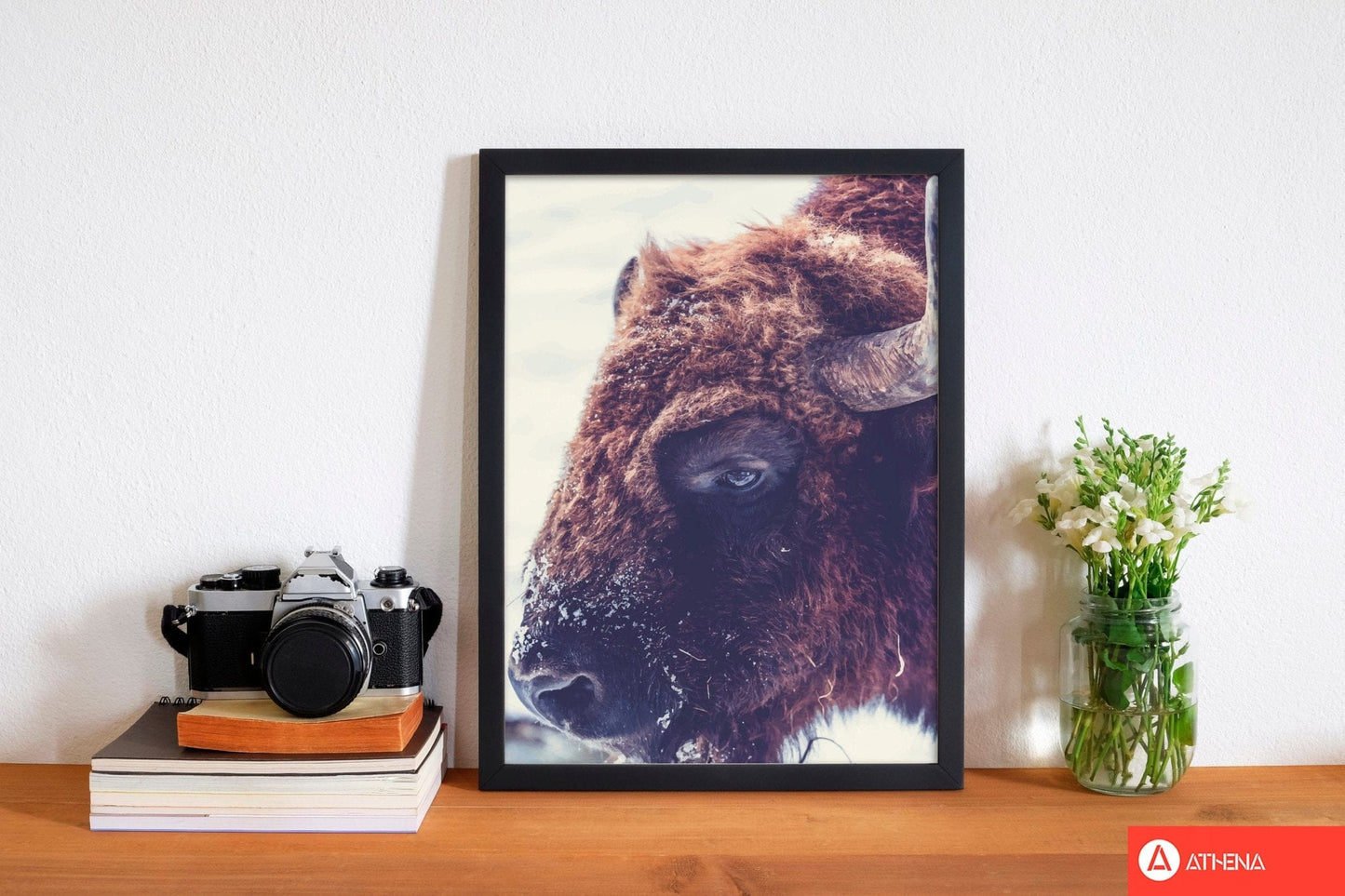 Bull modern fine art print