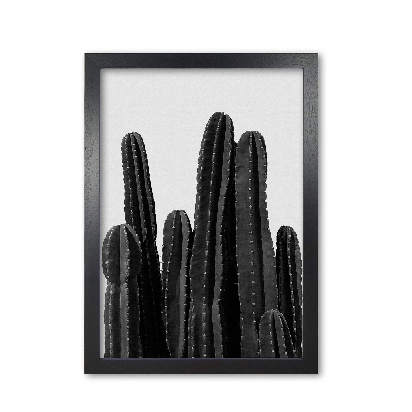 Cactus black and white fine art print by orara studio, framed botanical & nature art print