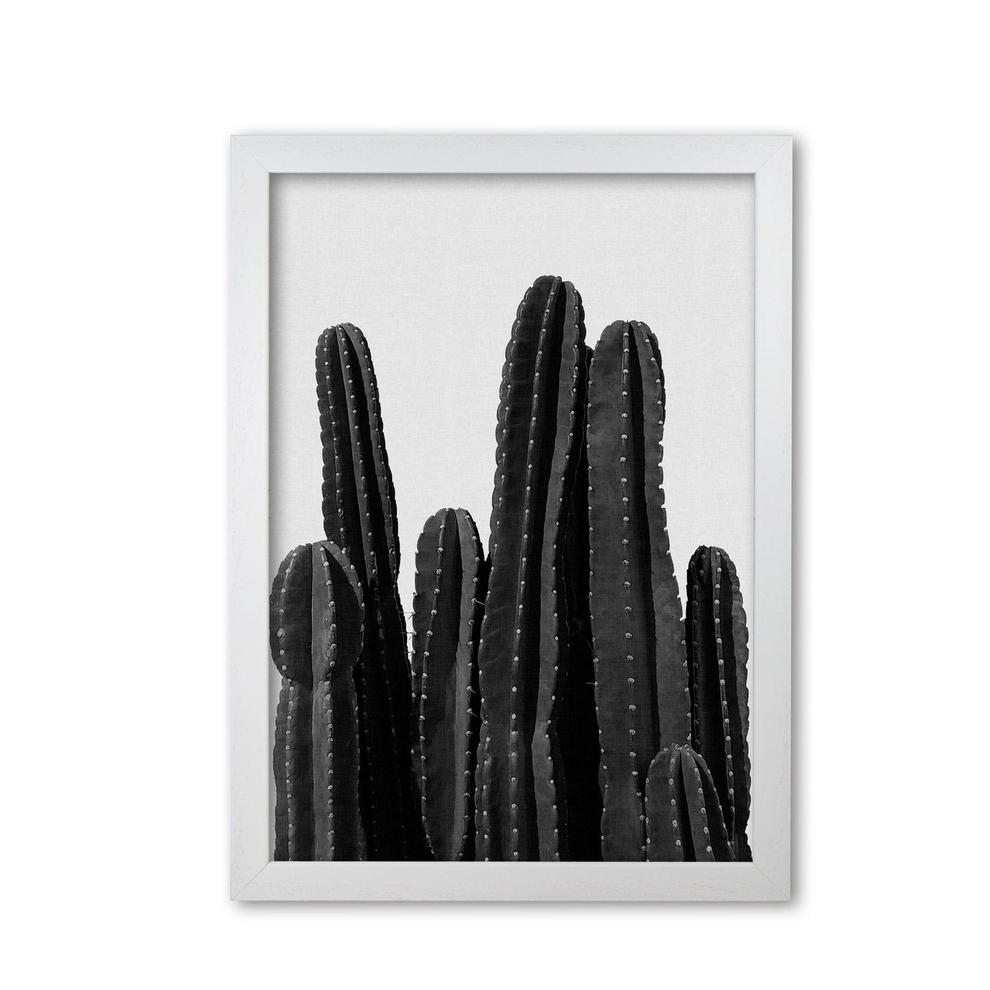 Cactus black and white fine art print by orara studio, framed botanical & nature art print