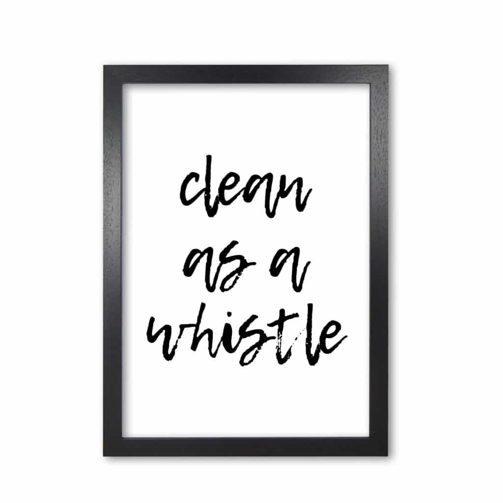 Clean as a whistle, bathroom modern fine art print, framed bathroom wall art