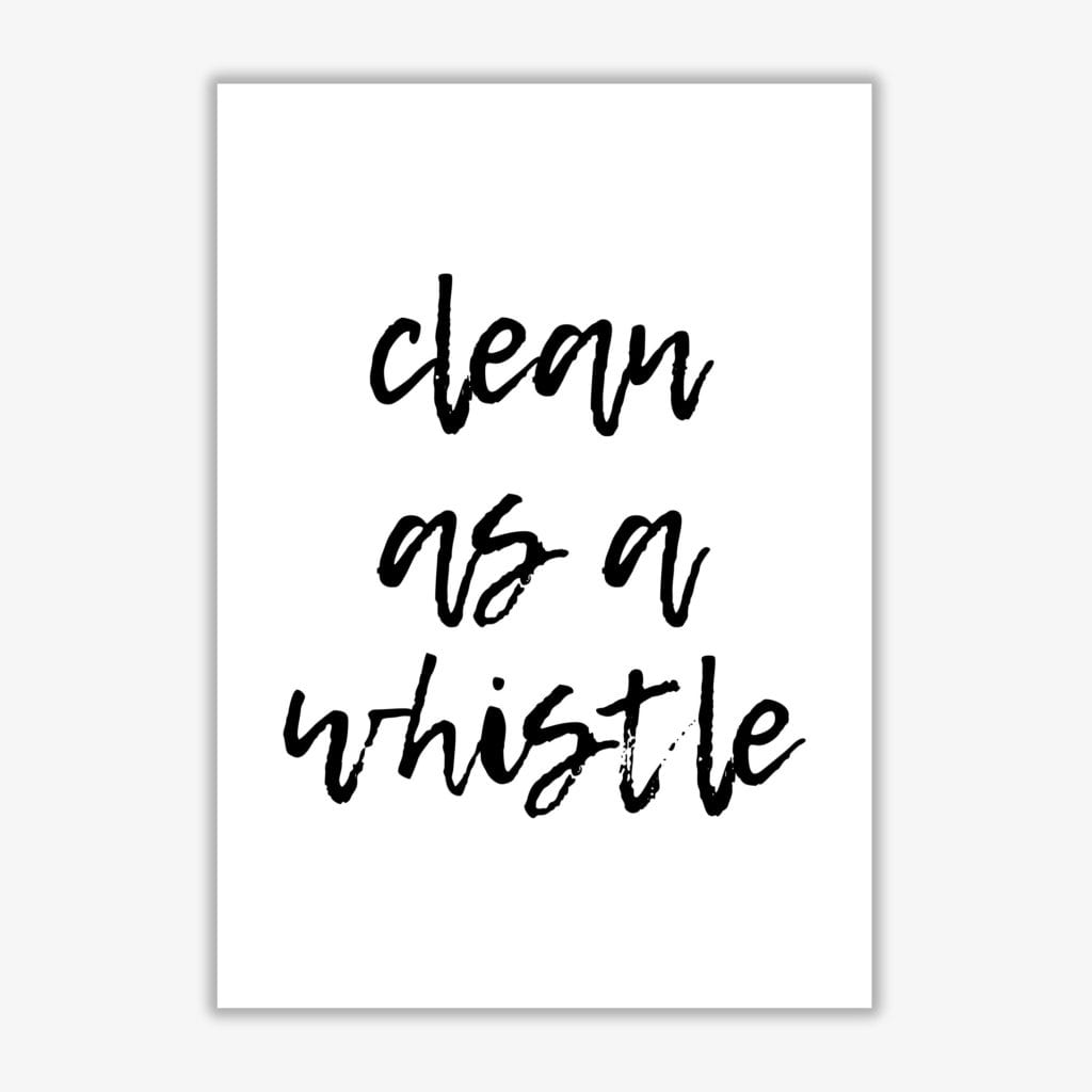 Clean as a whistle, bathroom modern fine art print, framed bathroom wall art