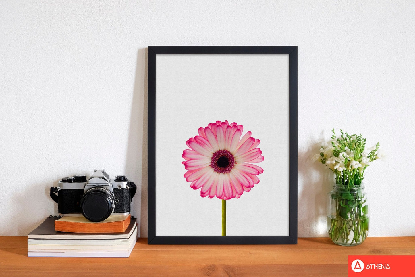 Daisy still life fine art print by orara studio, framed botanical & nature art print
