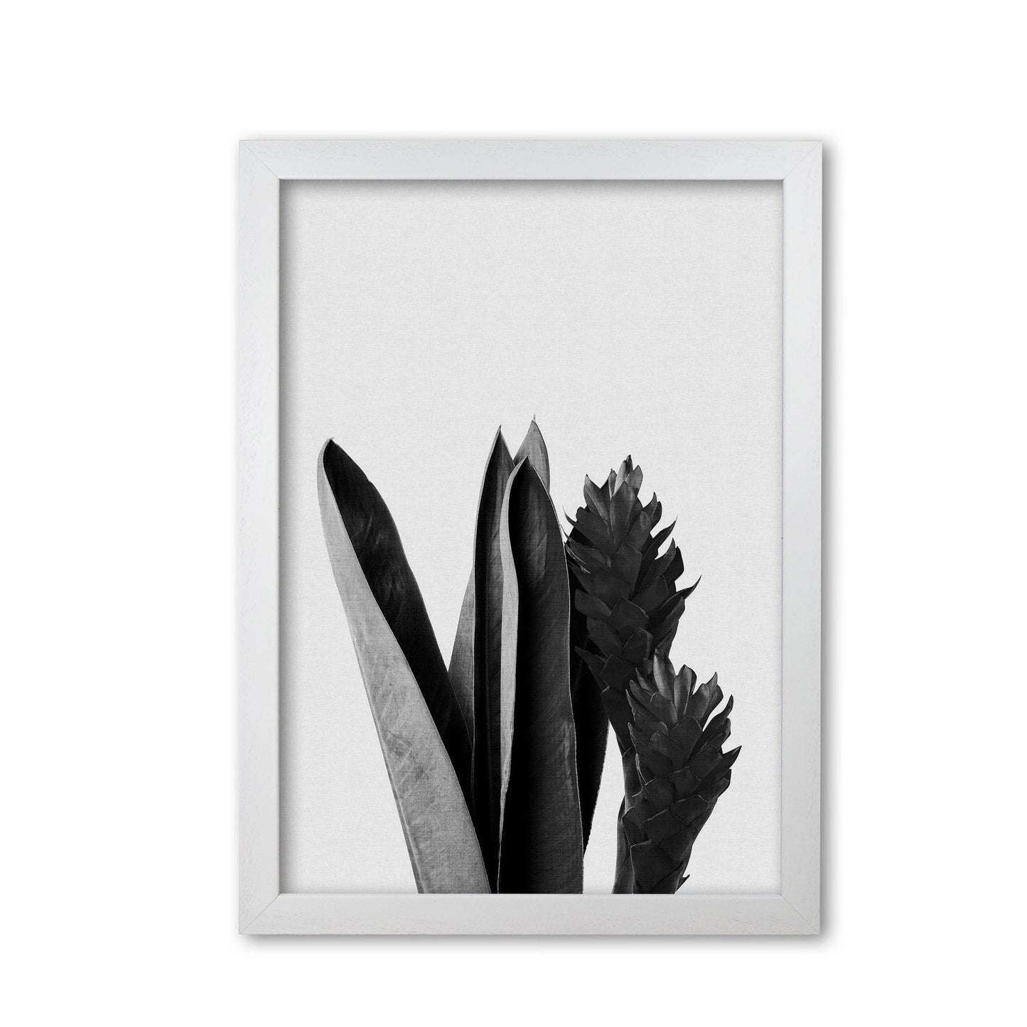 Flower black & white fine art print by orara studio