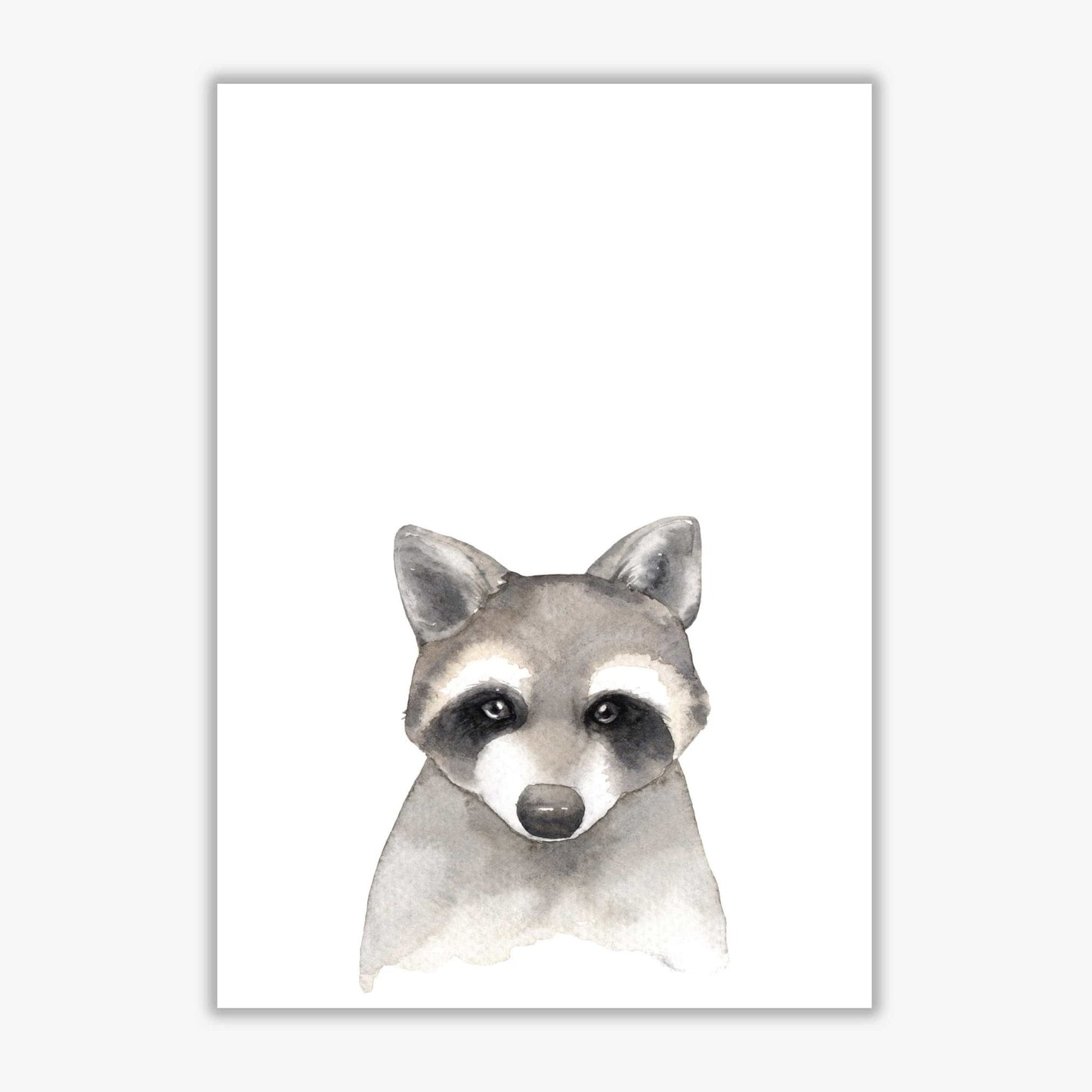 Forest friends, cute raccoon modern fine art print