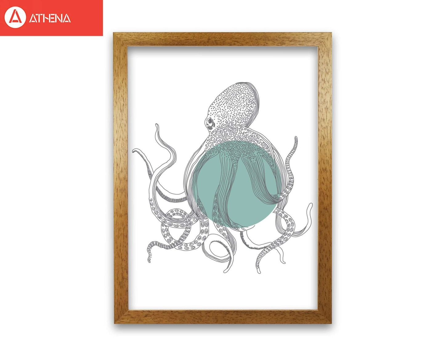 Marine animals octopus modern fine art print
