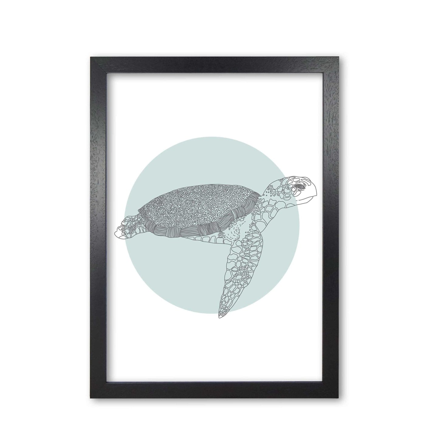 Marine animals turtle modern fine art print