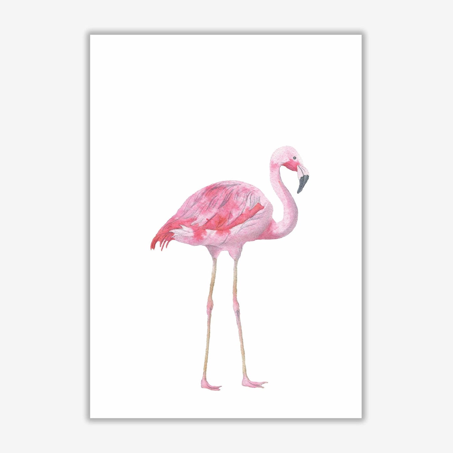 Pink flamingo modern fine art print