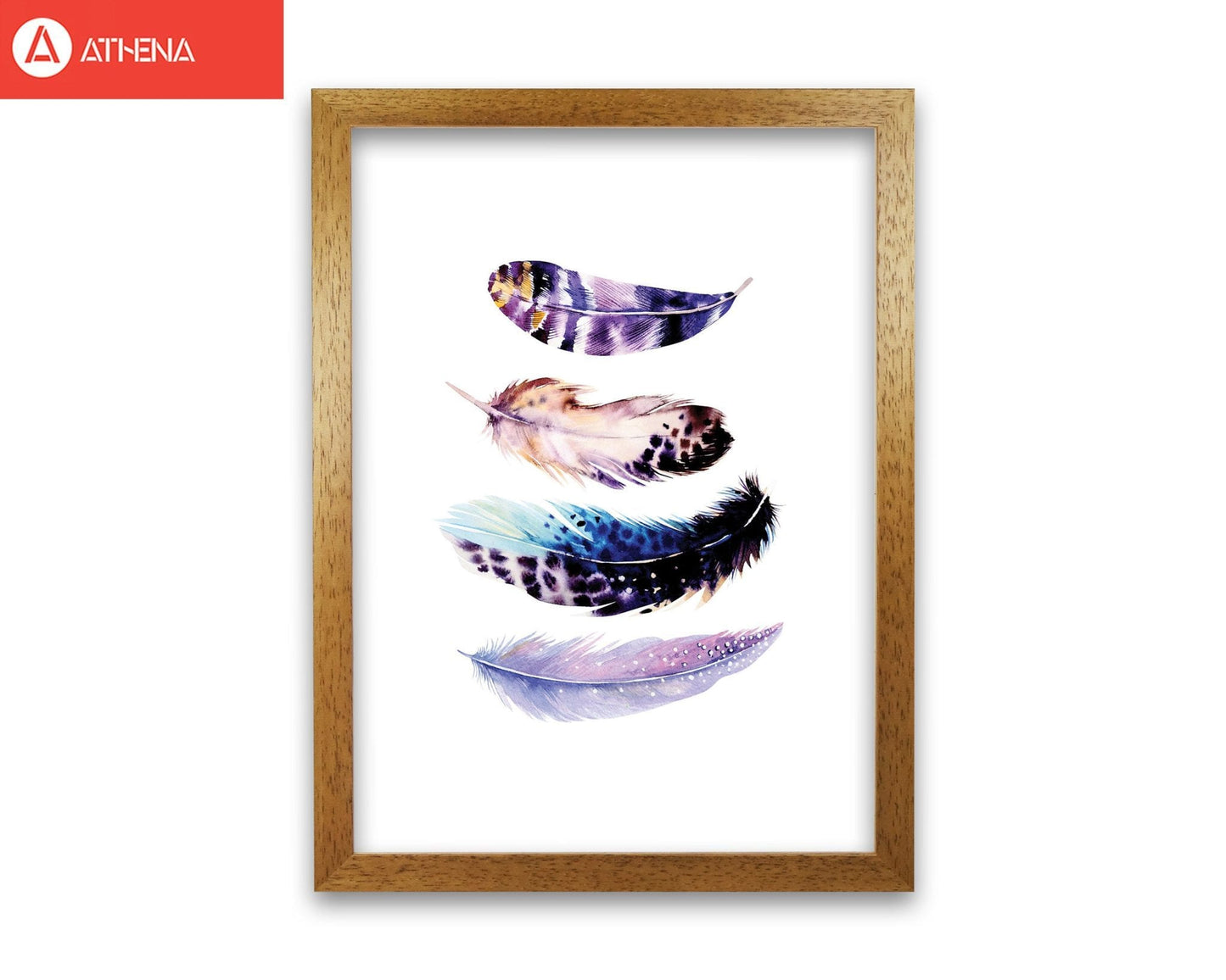 Purple bird feathers abstract modern fine art print