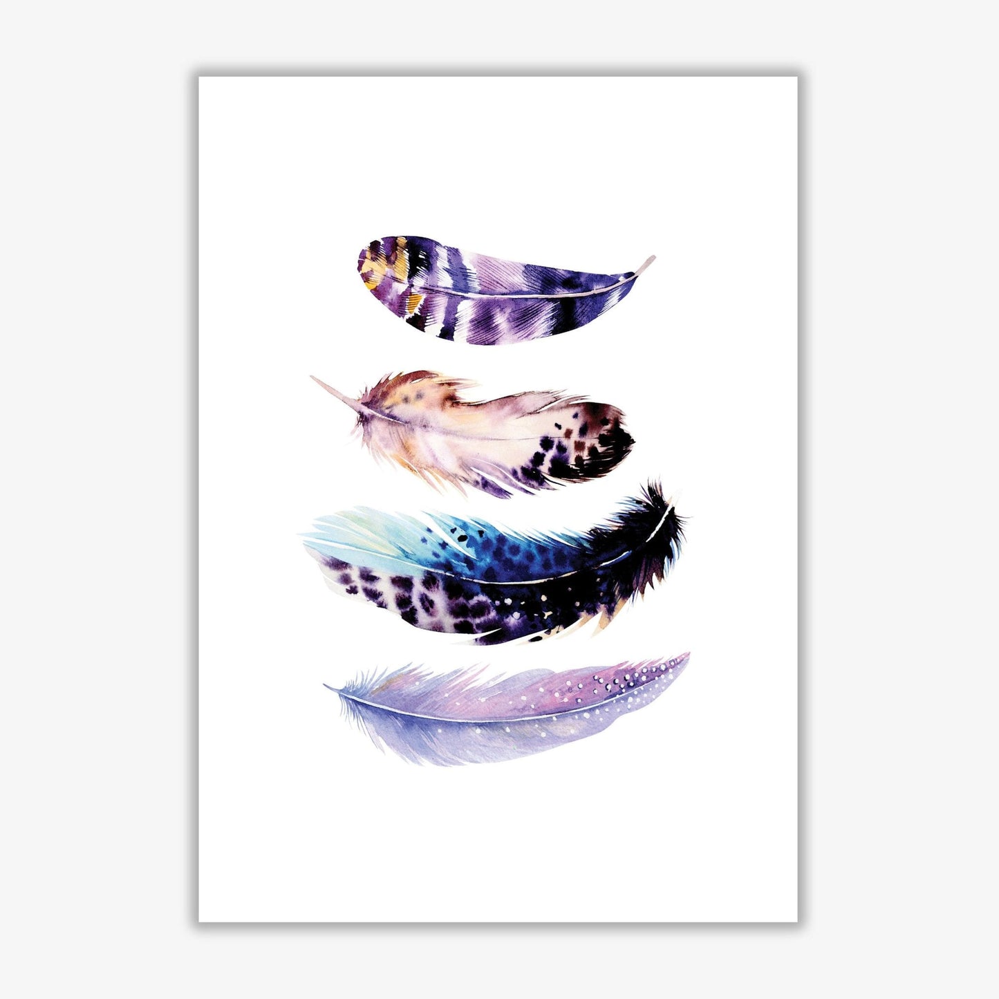Purple bird feathers abstract modern fine art print