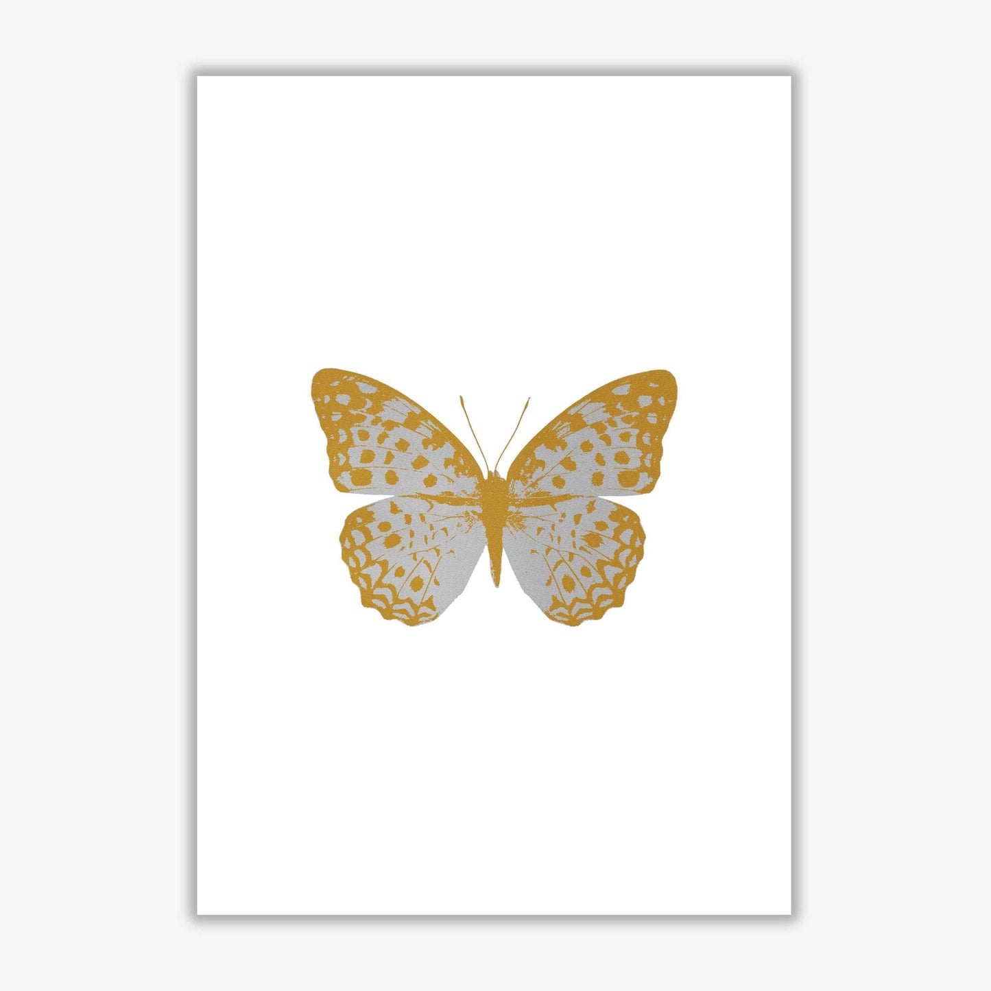 Silver butterfly fine art print by orara studio