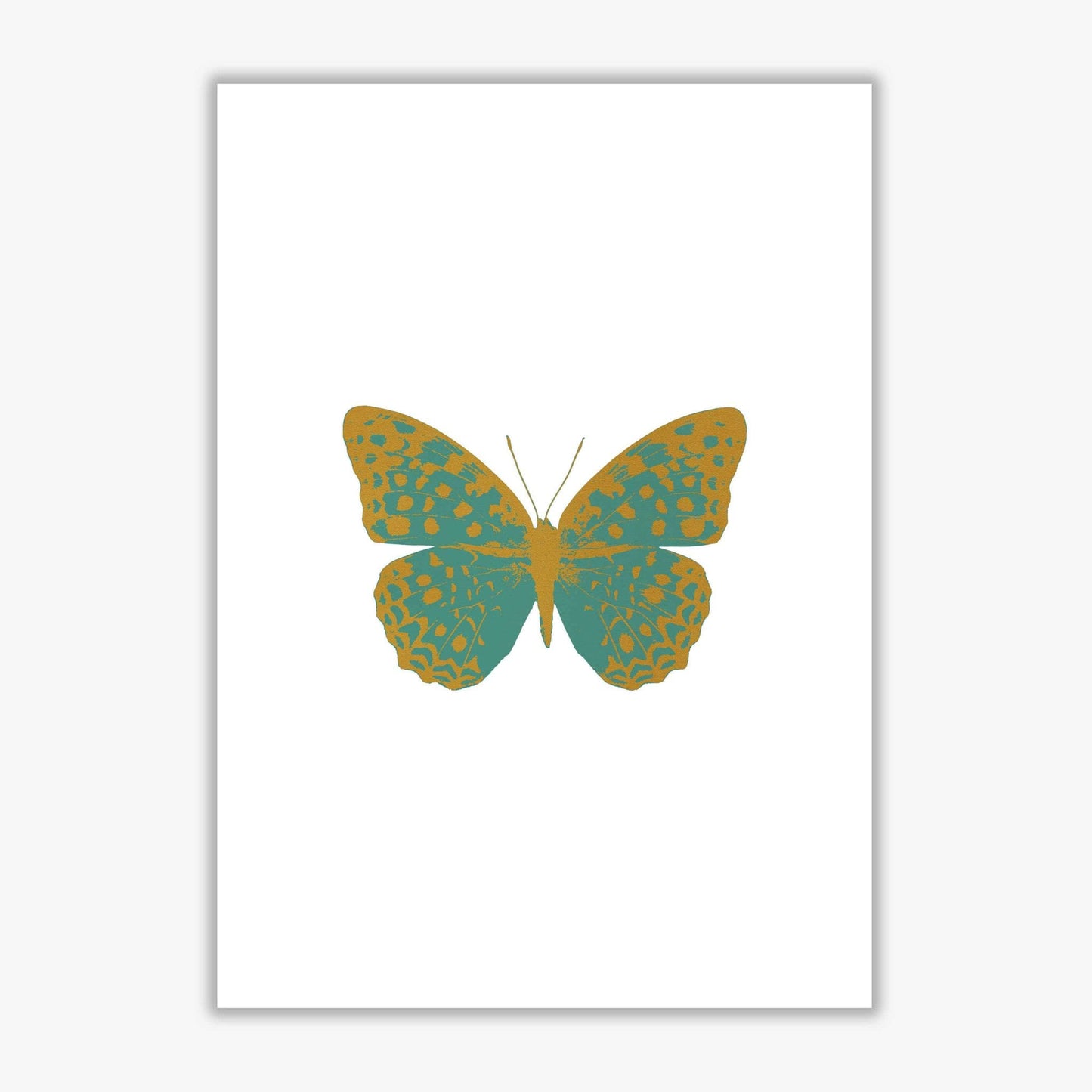 Teal butterfly fine art print by orara studio