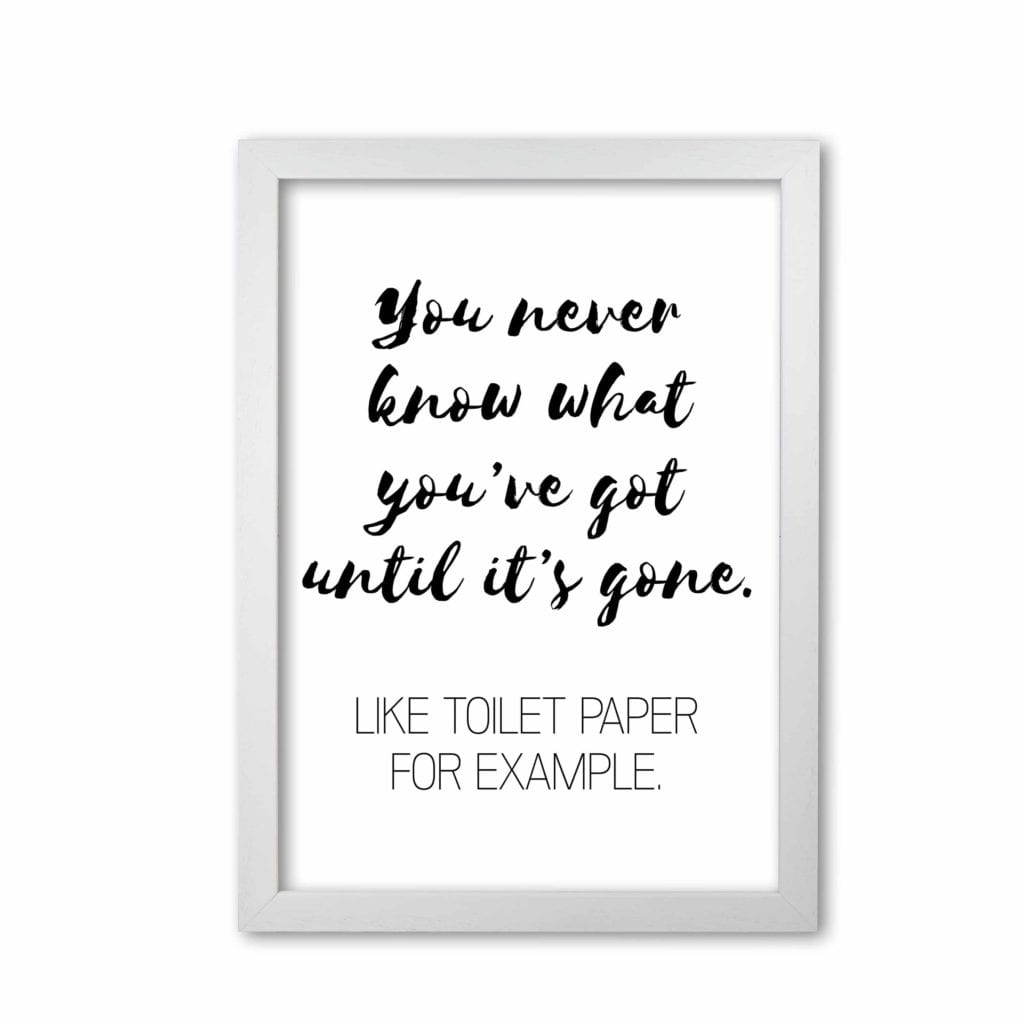 Toilet paper, bathroom modern fine art print, framed bathroom wall art