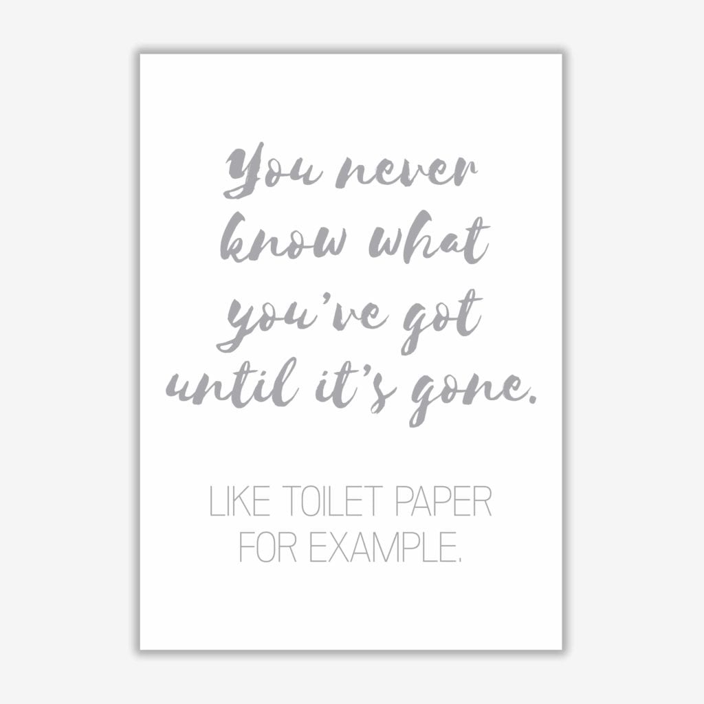Toilet roll grey, bathroom modern fine art print, framed bathroom wall art