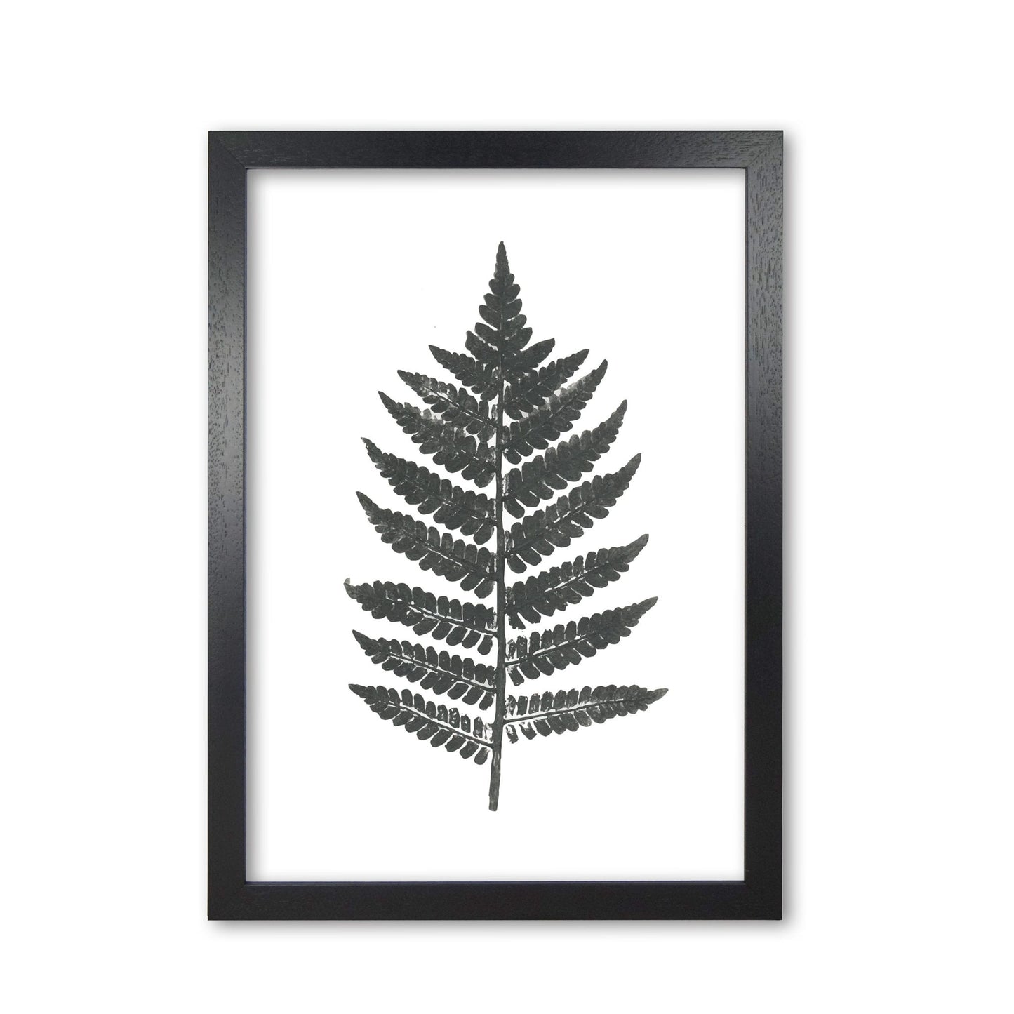 Vintage fern modern fine art print, framed botanical & nature art print