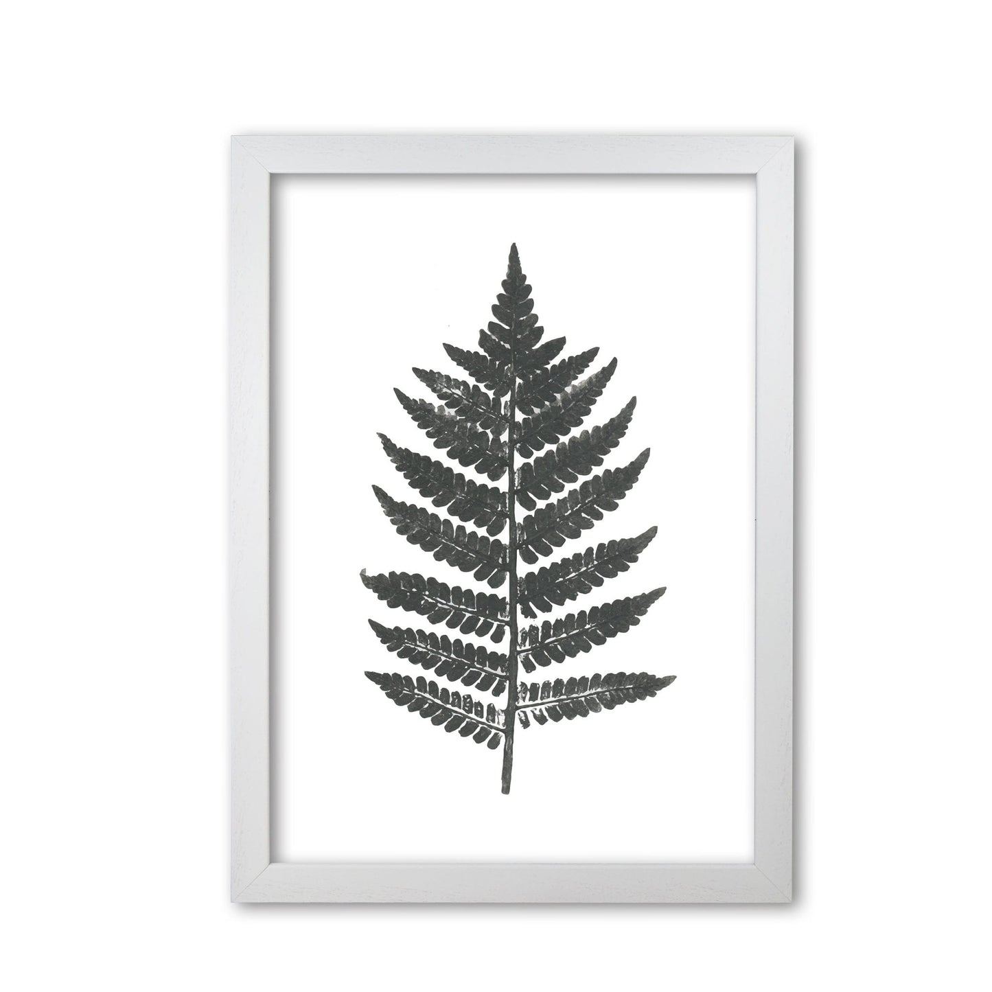 Vintage fern modern fine art print, framed botanical & nature art print