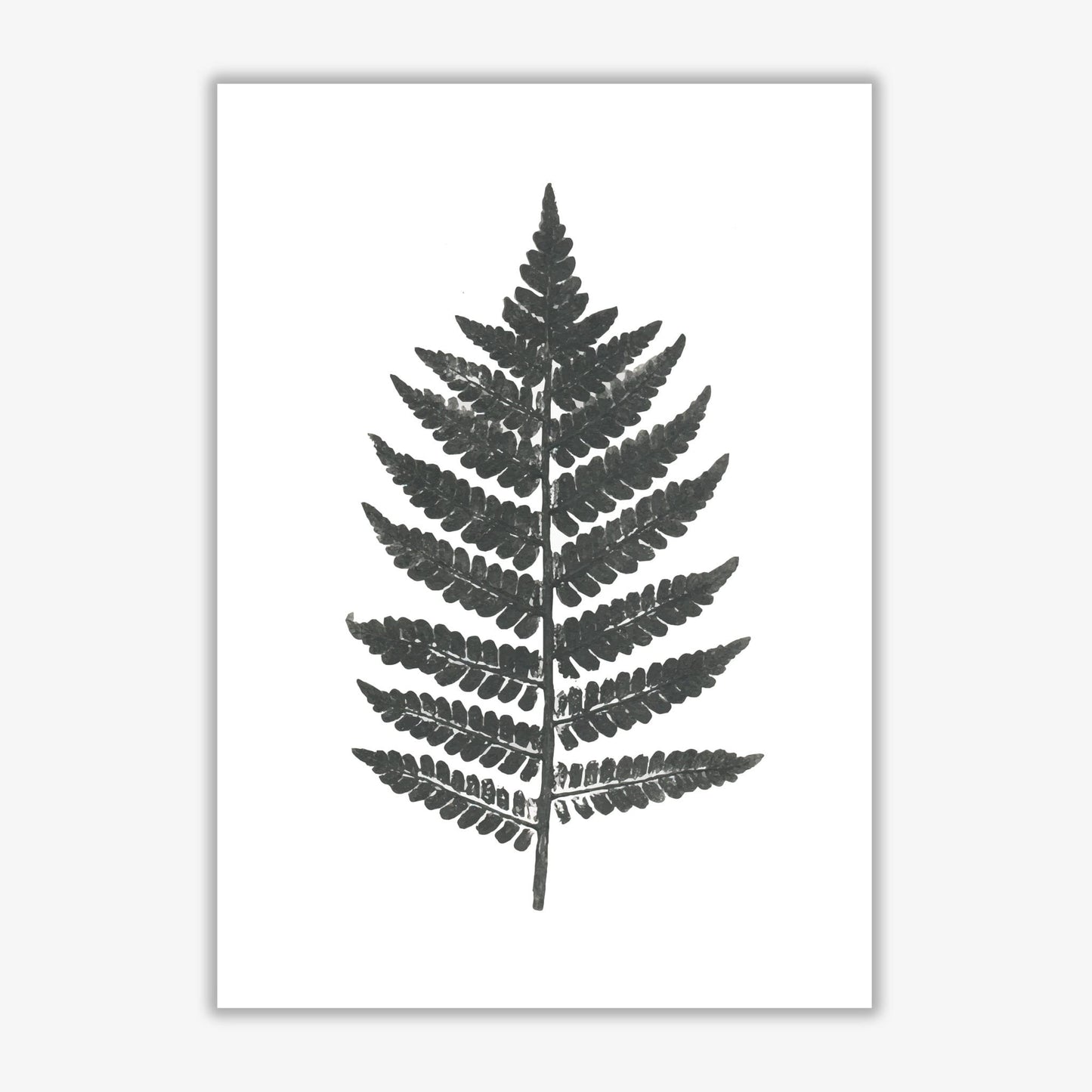 Vintage fern modern fine art print, framed botanical & nature art print
