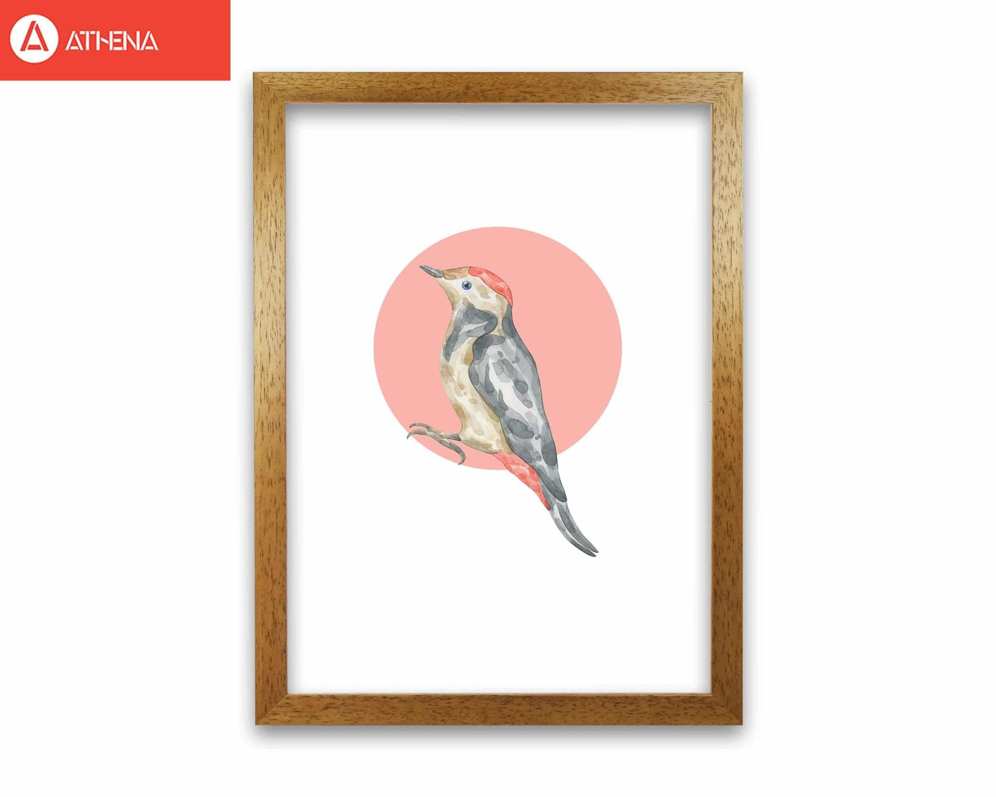 Watercolour bird with red circle modern fine art print