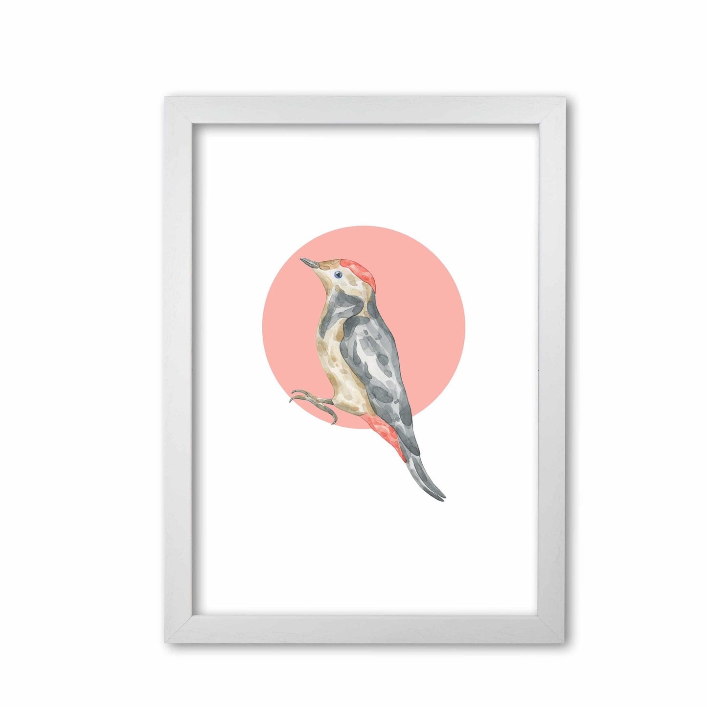 Watercolour bird with red circle modern fine art print