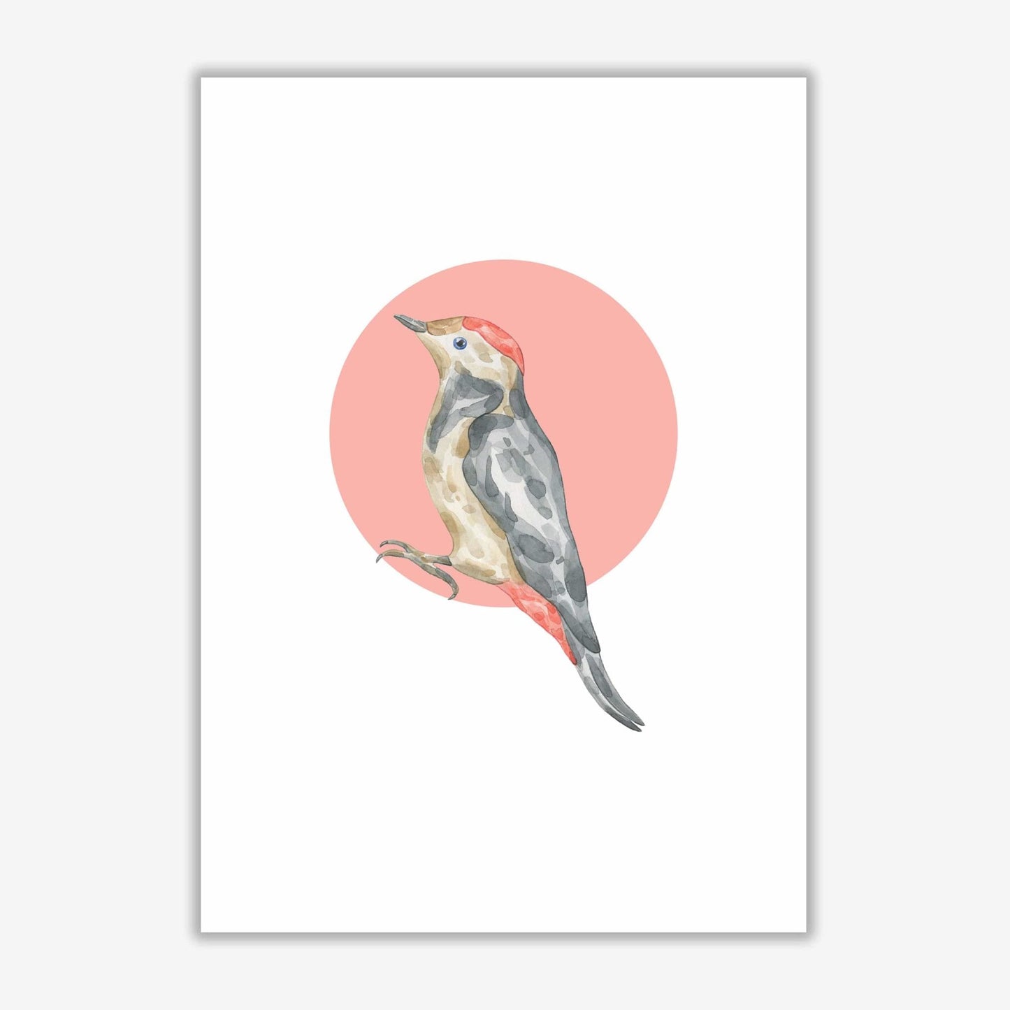 Watercolour bird with red circle modern fine art print