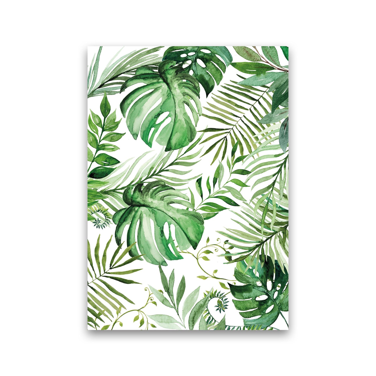 botanical prints - picture of palms, ferns and monstera