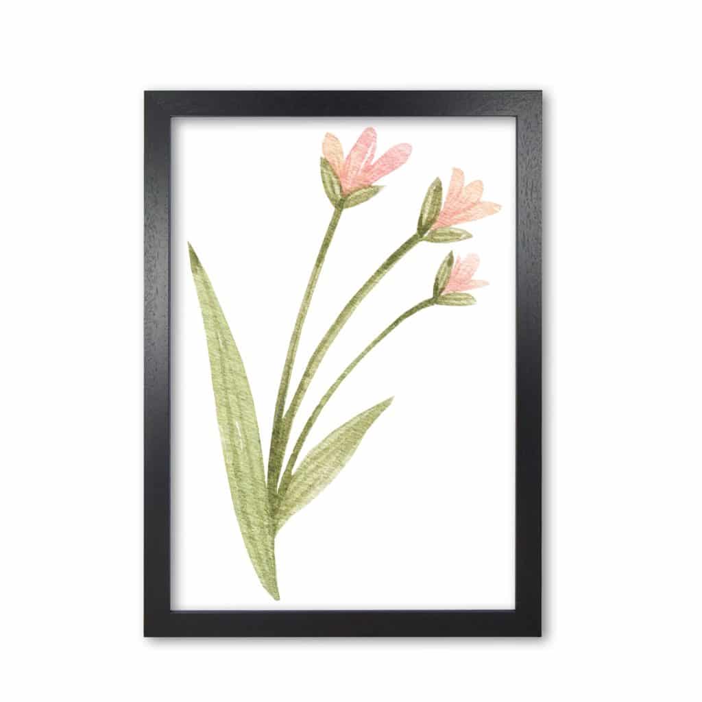 Watercolour Prints – High-Quality Prints with Free Delivery