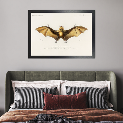 Bat by Jason Stanley