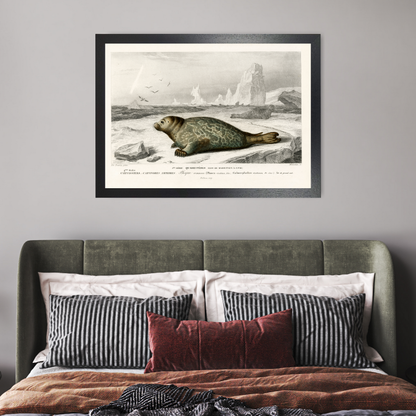 Seal by Jason Stanley