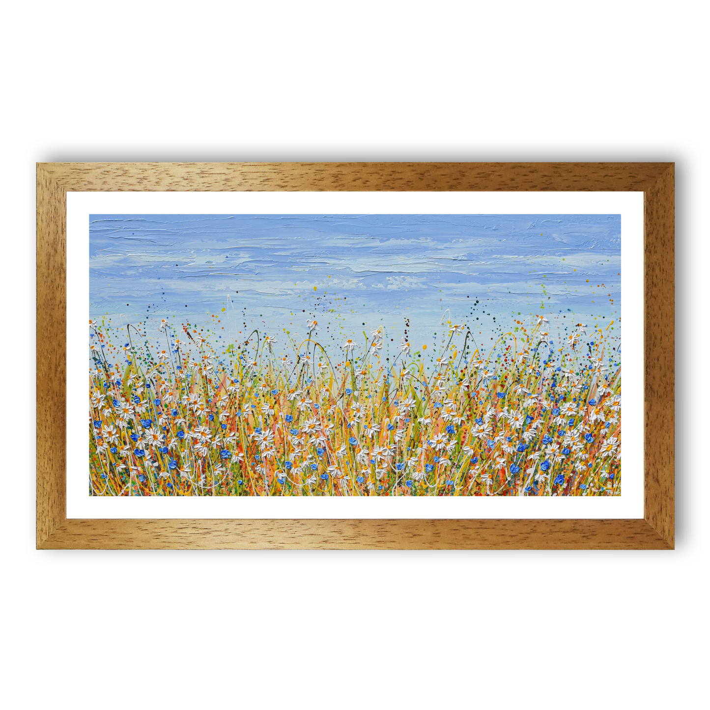 Daisies in August by Olga Tkachyk