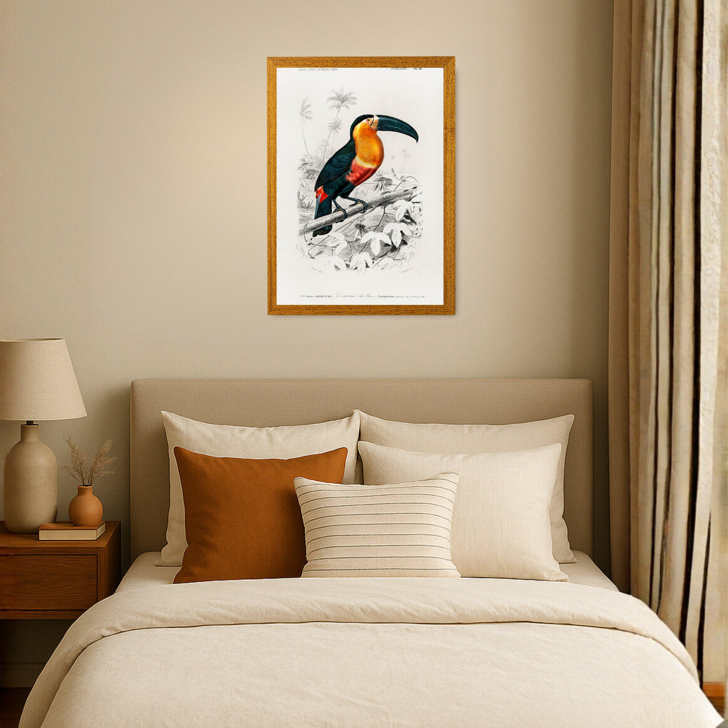 Tucan by Jason Stanley