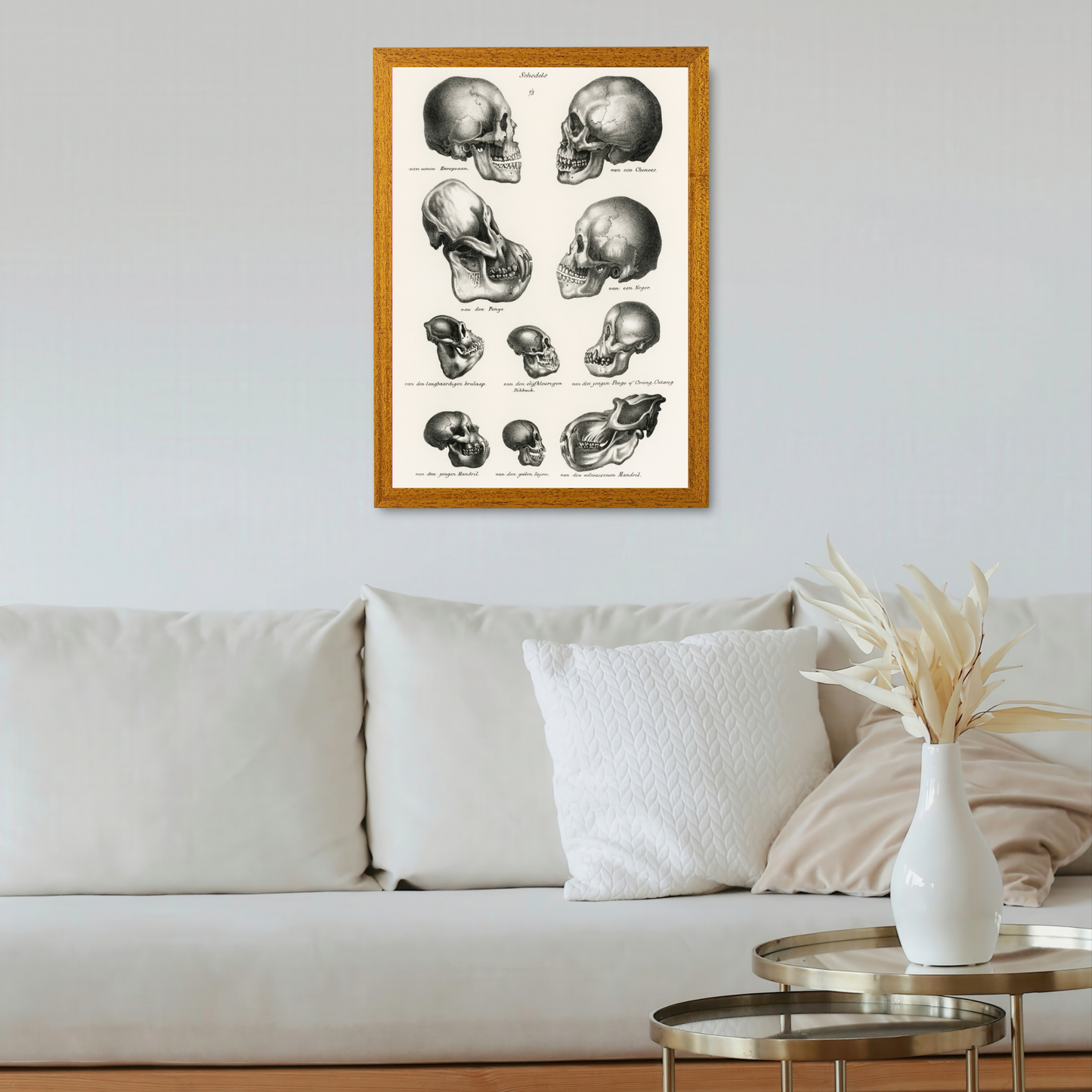 Skulls by Jason Stanley