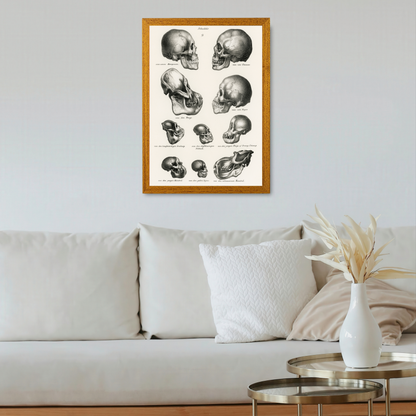 Skulls by Jason Stanley