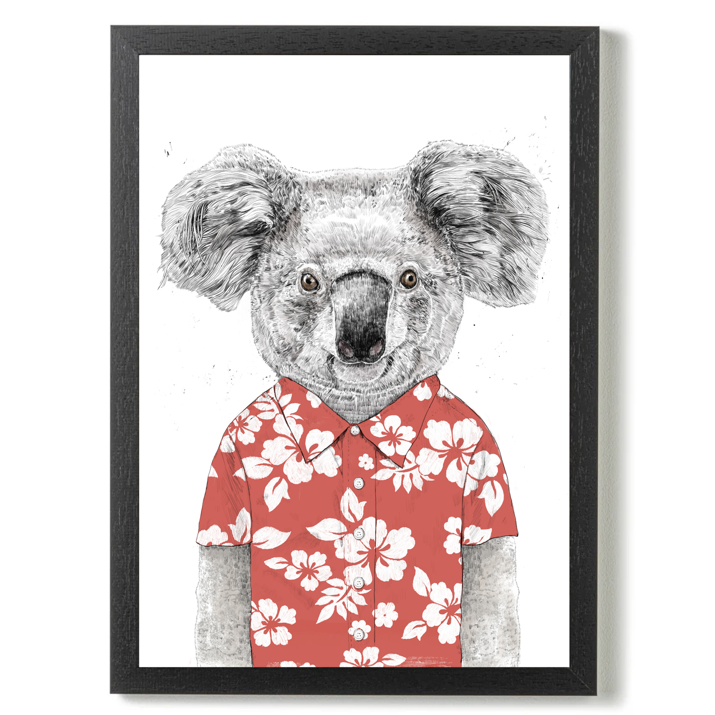 Summer Koala by Balazs Solti