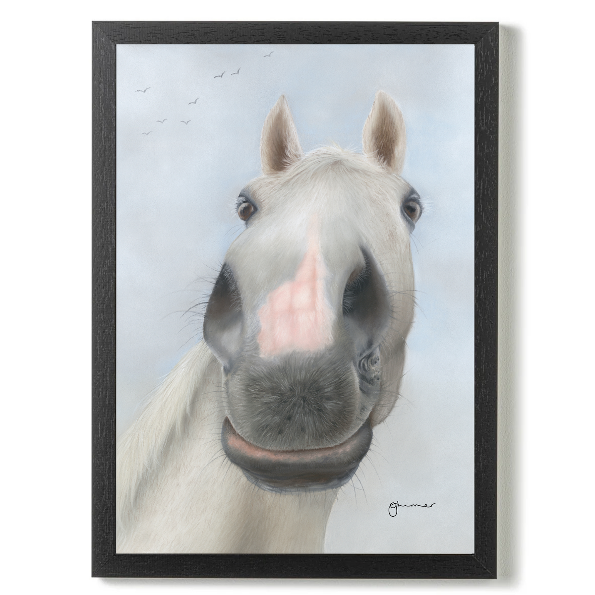 Desert Orchid by Georgie Turner